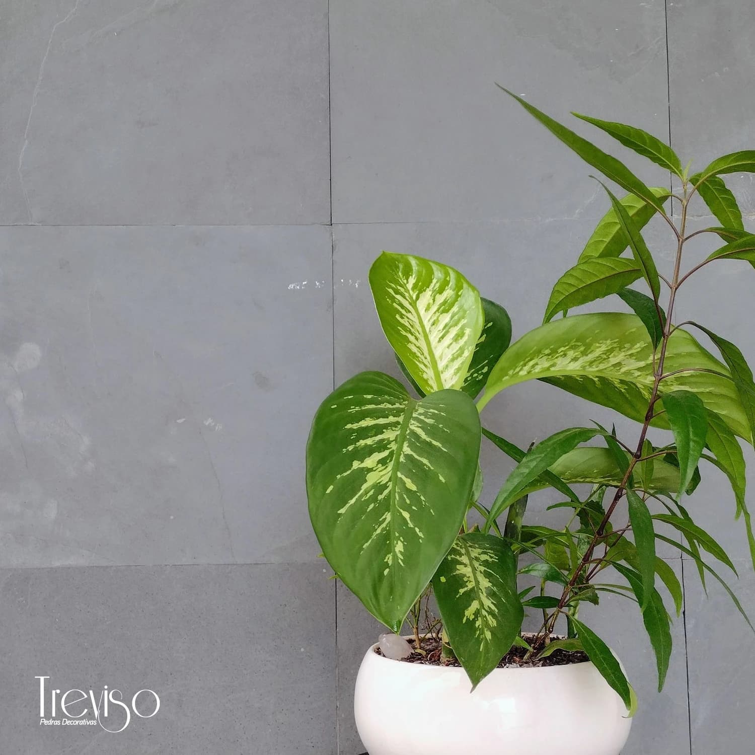 Composição Pedra Ardósia Mineira Cinza