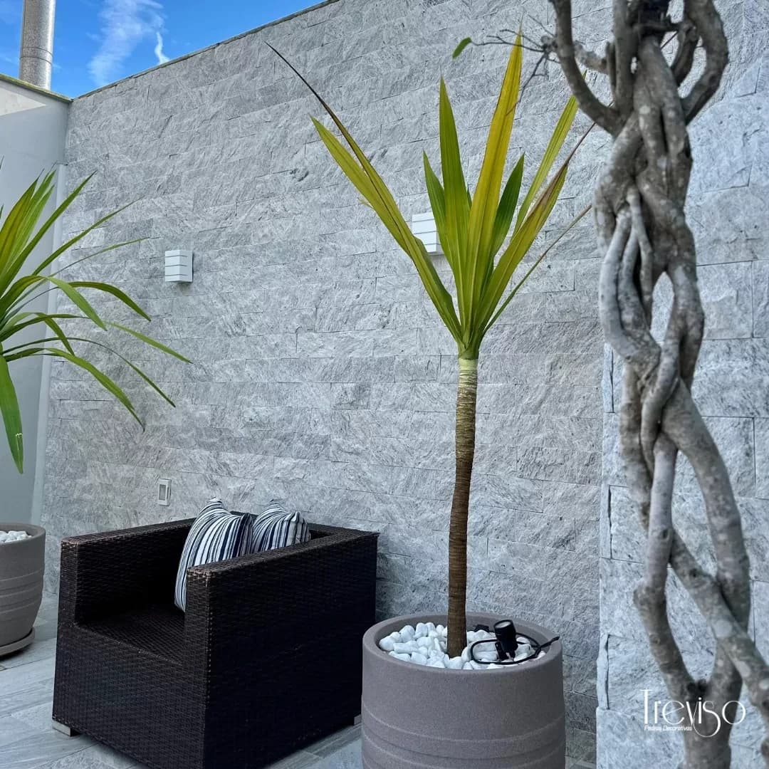 Pedra Madeira 11.5×23